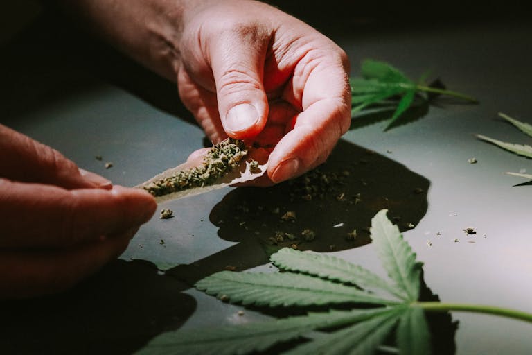 Detailed close-up of hands rolling a cannabis joint with marijuana leaves scattered around. rolling papers bleached unbleached RAW